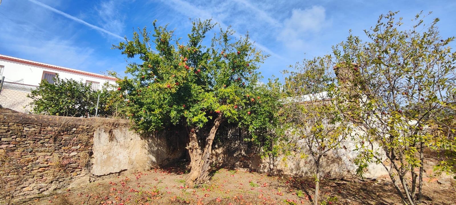 4 bedroom Finca/Country House for sale in Villanueva de los Castillejos - € 185,000 (Ref: 9452243)