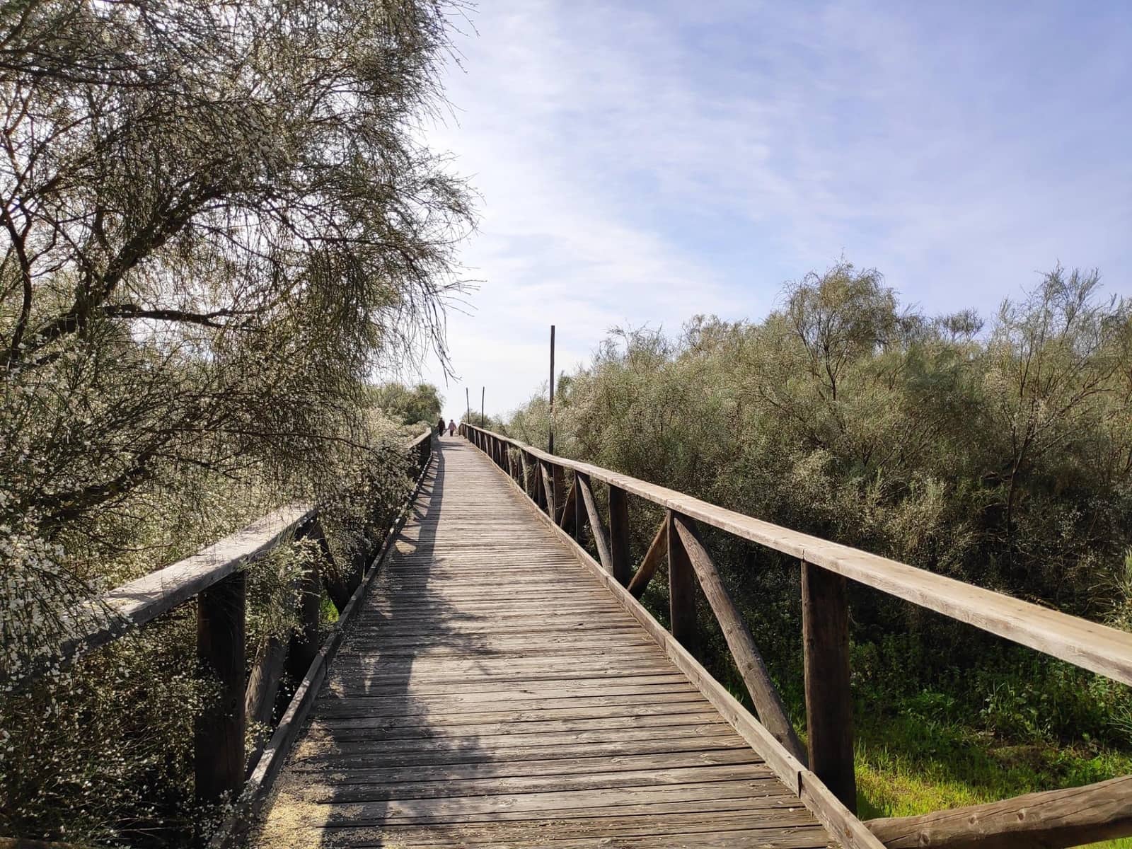 3 quarto Penthouse para venda em Ayamonte com piscina - 492 500 € (Ref: 9543772)