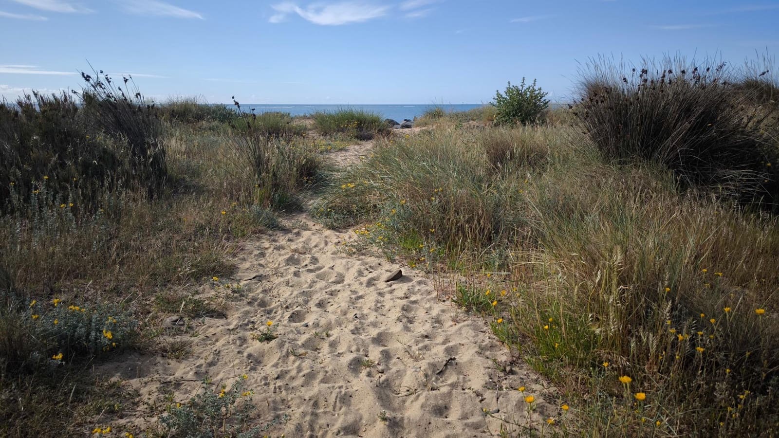 2 chambre Appartement à vendre à Isla Canela avec piscine - 259 500 € (Ref: 9571305)