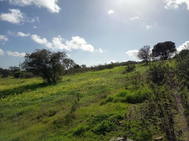 Mark till salu i Villablanca - 125 000 € (Ref: 9596297)