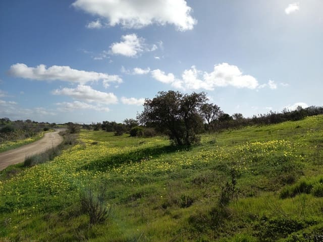 Ubebygd land til salgs i Villablanca - € 125 000 (Ref: 9596297)