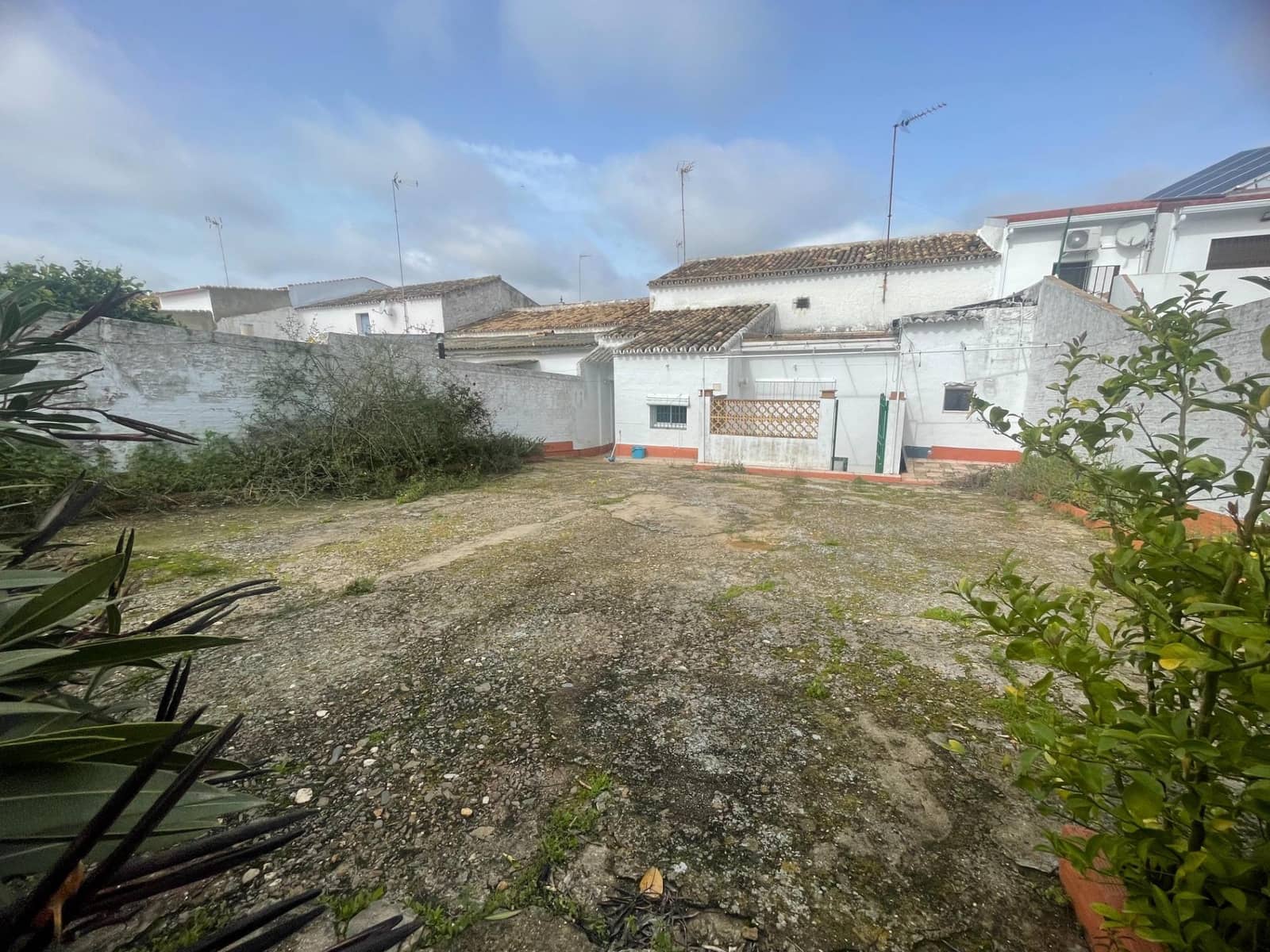 4 quarto Quinta/Casa Rural para venda em Paterna del Campo - 160 000 € (Ref: 9666670)