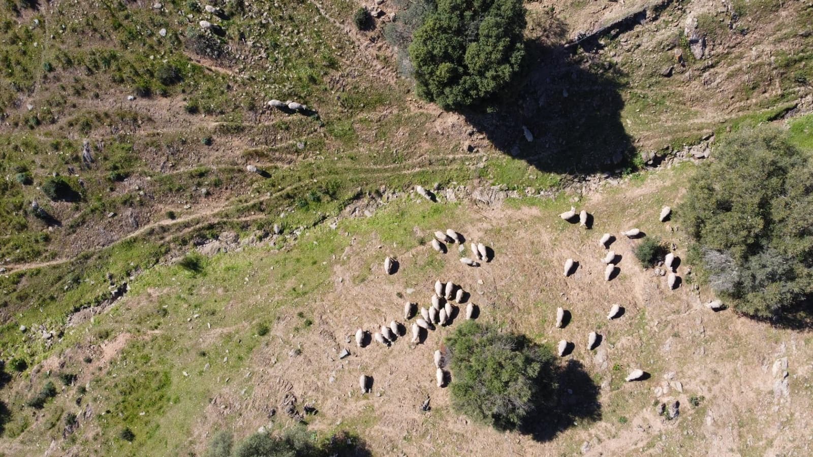 Terreno Non Edificato in vendita in Sanlucar de Guadiana - 2.580.000 € (Rif: 9712090)