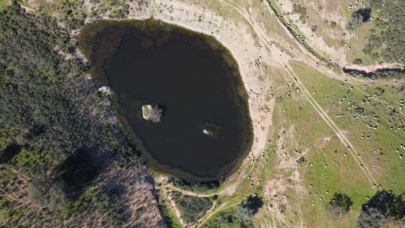 Teren niezagospodarowany na sprzedaż w Sanlucar de Guadiana - 2 580 000 € (Ref: 9712090)