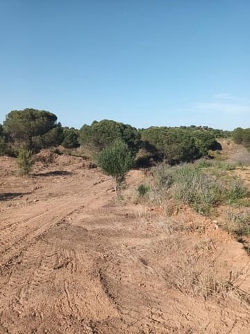 Tontti myytävänä paikassa Ayamonte - 65 000 € (Ref: 9788504)