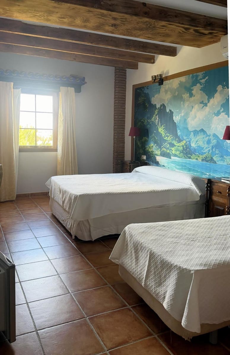 21 chambre Hôtel à vendre à Turre - 6 500 000 € (Ref: 9812246)