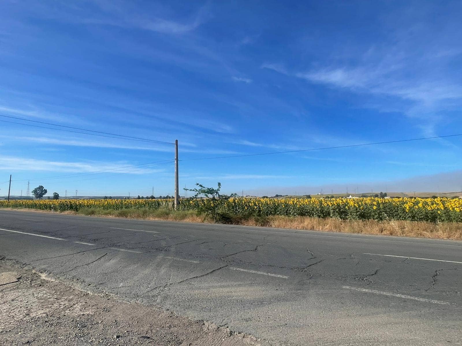 Mark till salu i Huelva stad - 230 000 € (Ref: 9896442)