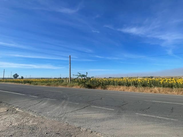 Grunde uden byggetilladelser til salg i Huelva by - € 230.000 (Ref: 9896442)
