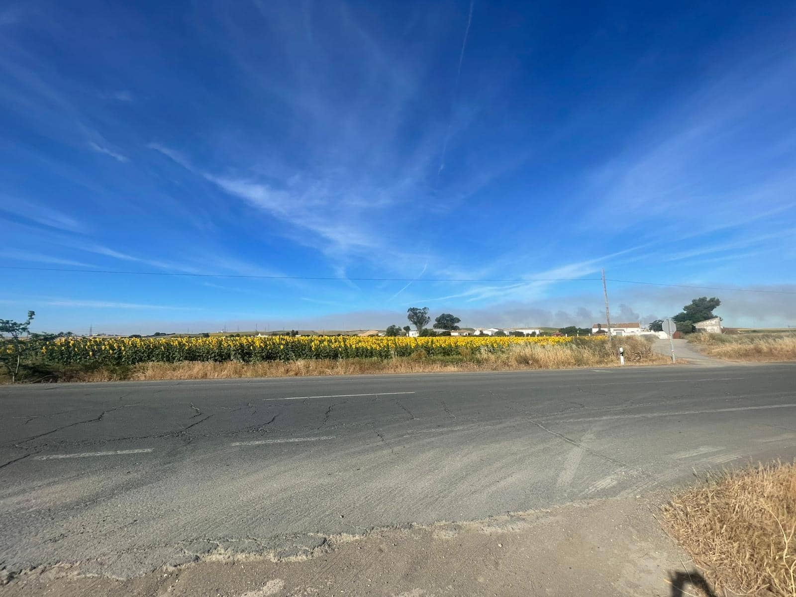 Mark till salu i Huelva stad - 230 000 € (Ref: 9896442)