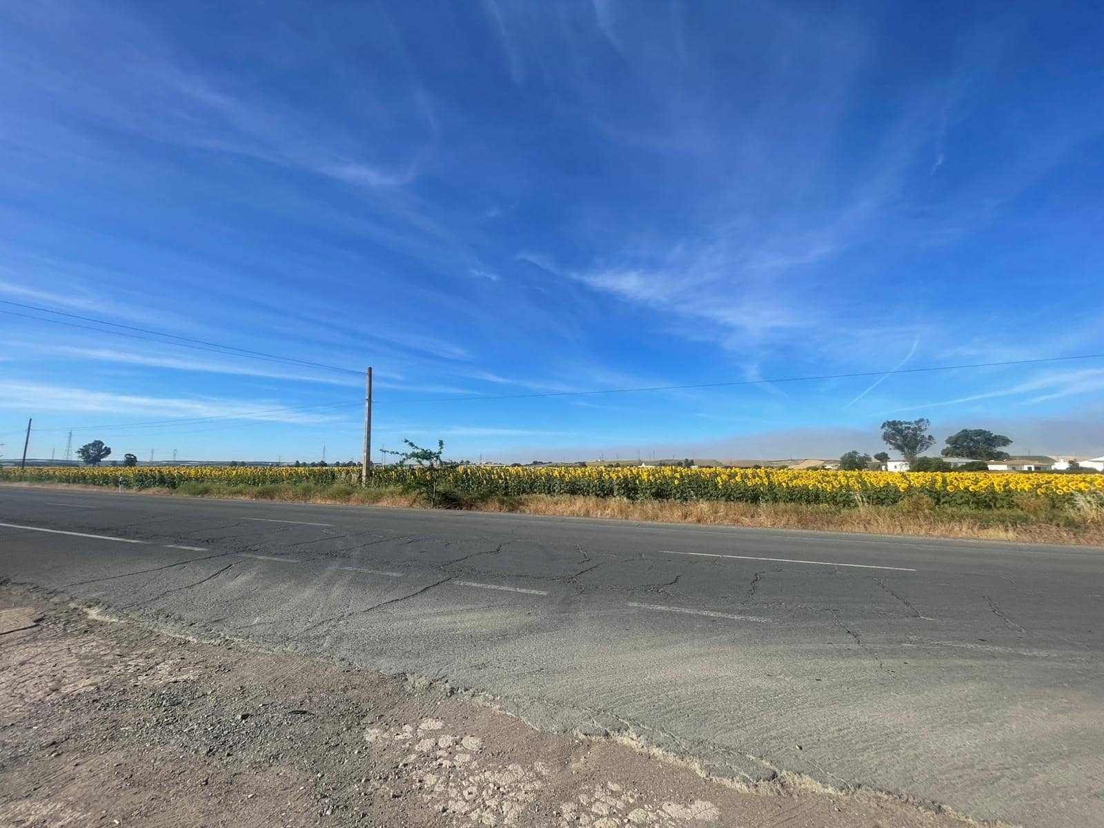 Mark till salu i Huelva stad - 230 000 € (Ref: 9896442)