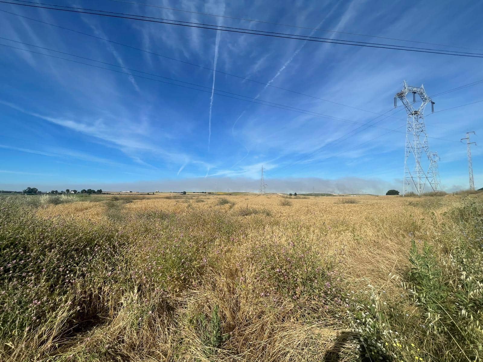 Mark till salu i Huelva stad - 230 000 € (Ref: 9896442)