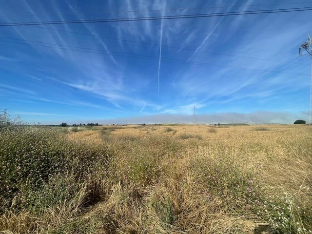 Grunde uden byggetilladelser til salg i Huelva by - € 230.000 (Ref: 9896442)