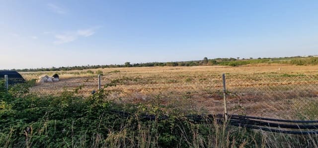 Grunde uden byggetilladelser til salg i Lepe - € 375.000 (Ref: 9922400)