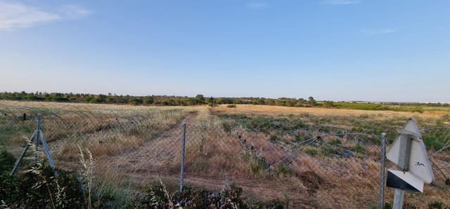 Undeveloped Land for sale in Lepe - € 375,000 (Ref: 9922400)