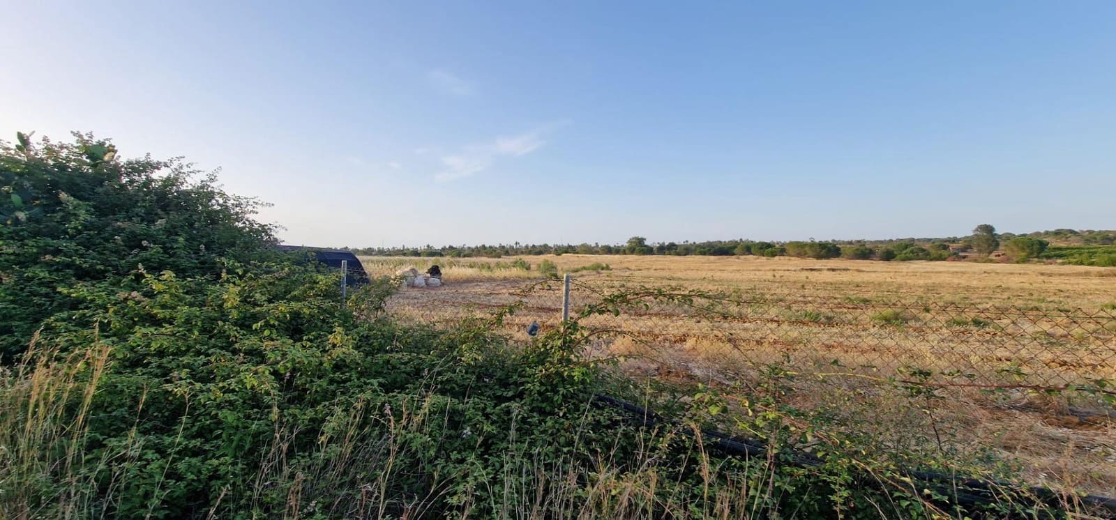 Undeveloped Land for sale in Lepe - € 375,000 (Ref: 9922400)