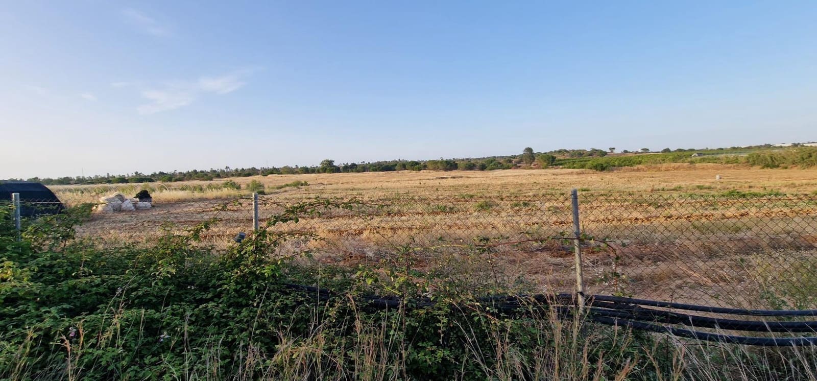 Undeveloped Land for sale in Lepe - € 375,000 (Ref: 9922400)