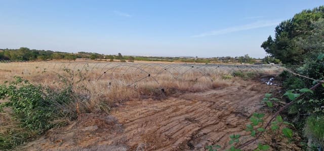 Undeveloped Land for sale in Lepe - € 375,000 (Ref: 9922400)