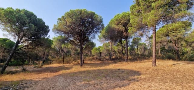 Grond te koop in Villablanca - € 75.000 (Ref: 9985071)