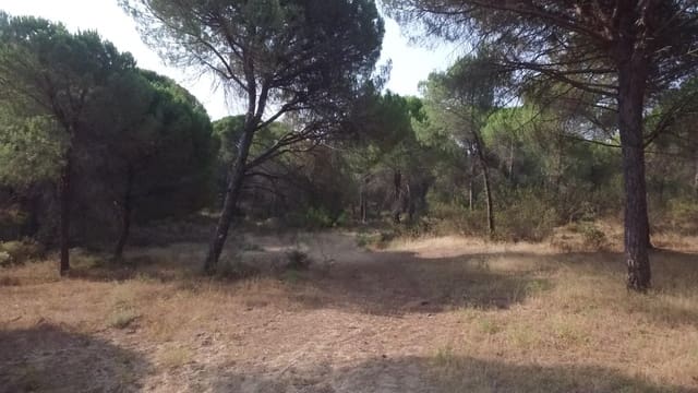 Grond te koop in Villablanca - € 75.000 (Ref: 9985071)
