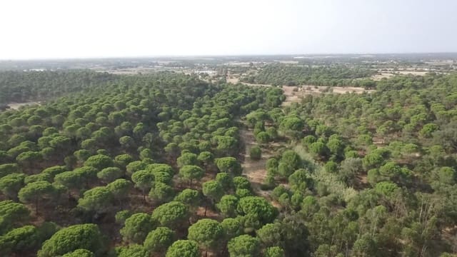 Grond te koop in Villablanca - € 75.000 (Ref: 9985071)