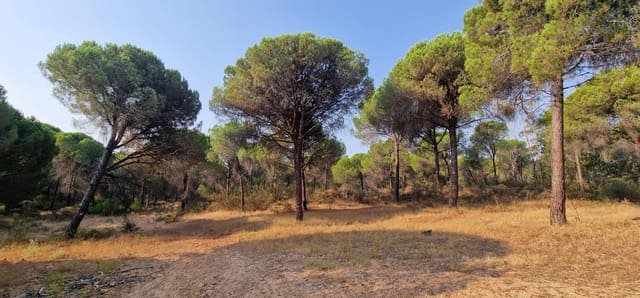 Grond te koop in Villablanca - € 75.000 (Ref: 9985071)