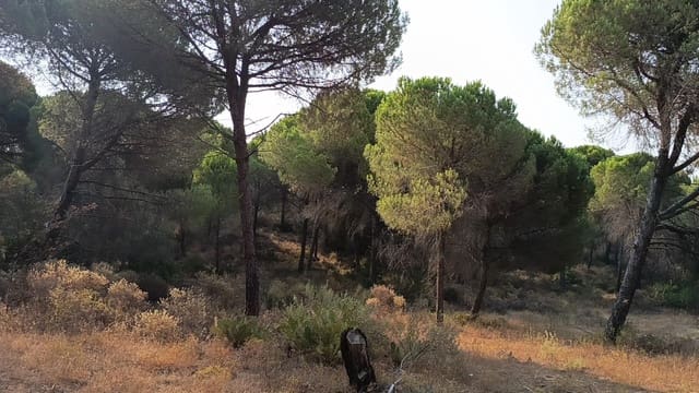 Grond te koop in Villablanca - € 75.000 (Ref: 9985071)