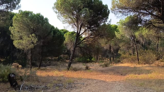 Grond te koop in Villablanca - € 75.000 (Ref: 9985071)