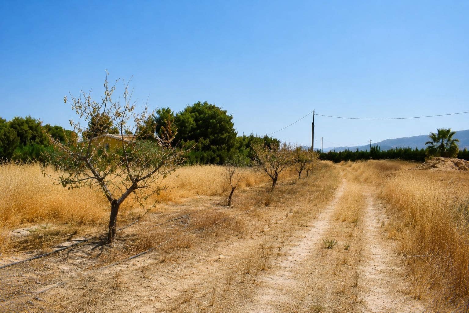 Terrain à Bâtir à vendre à Aguaderas - 100 000 € (Ref: 10005662)