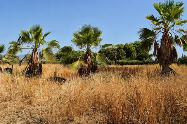 Terrain à Bâtir à vendre à Aguaderas, Lorca - 100 000 € (Ref: 10005662)