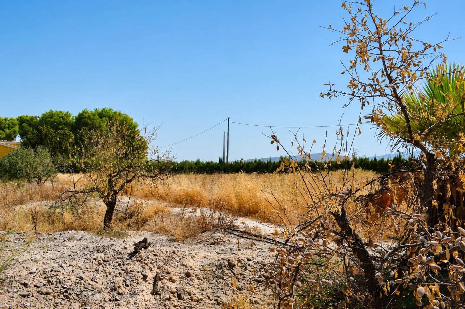 Terrain à Bâtir à vendre à Aguaderas - 100 000 € (Ref: 10005662)