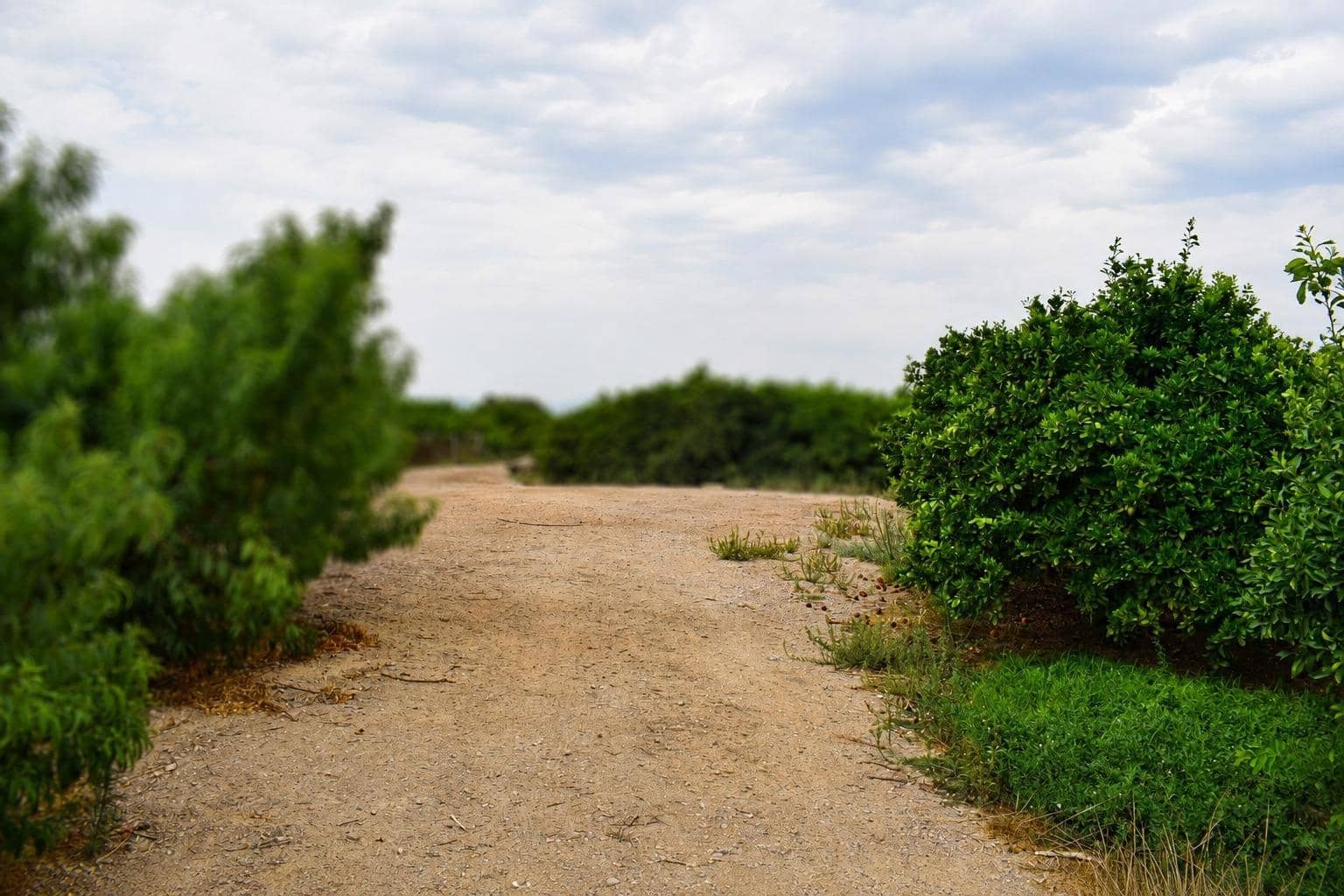 Undeveloped Land for sale in Llano de Brujas - € 99,000 (Ref: 10005663)