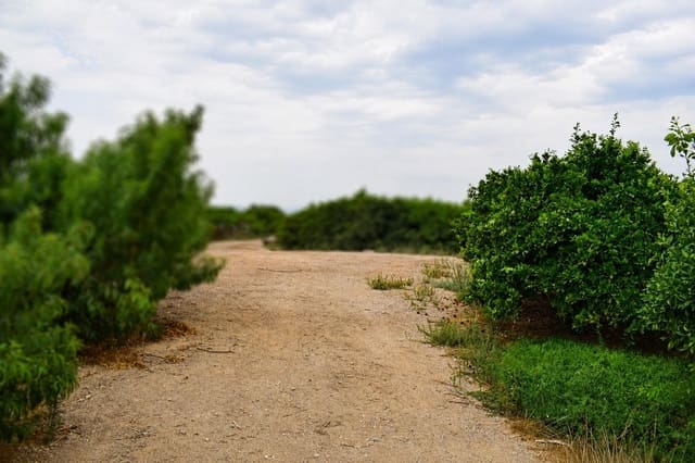 Undeveloped Land for sale in Llano de Brujas, Murcia city - € 99,000 (Ref: 10005663)
