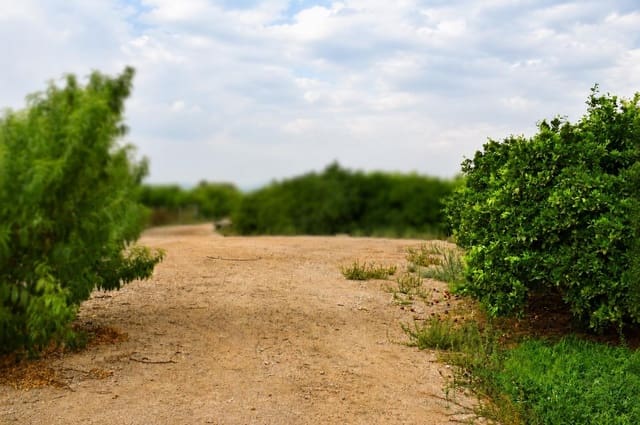 Undeveloped Land for sale in Llano de Brujas, Murcia city - € 99,000 (Ref: 10005663)