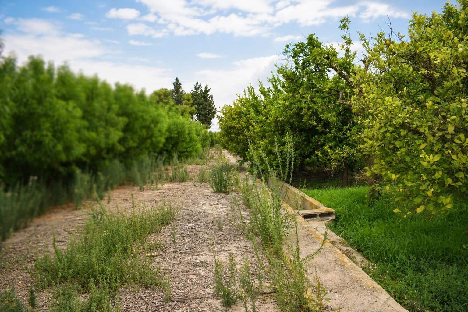 Undeveloped Land for sale in Llano de Brujas - € 99,000 (Ref: 10005663)