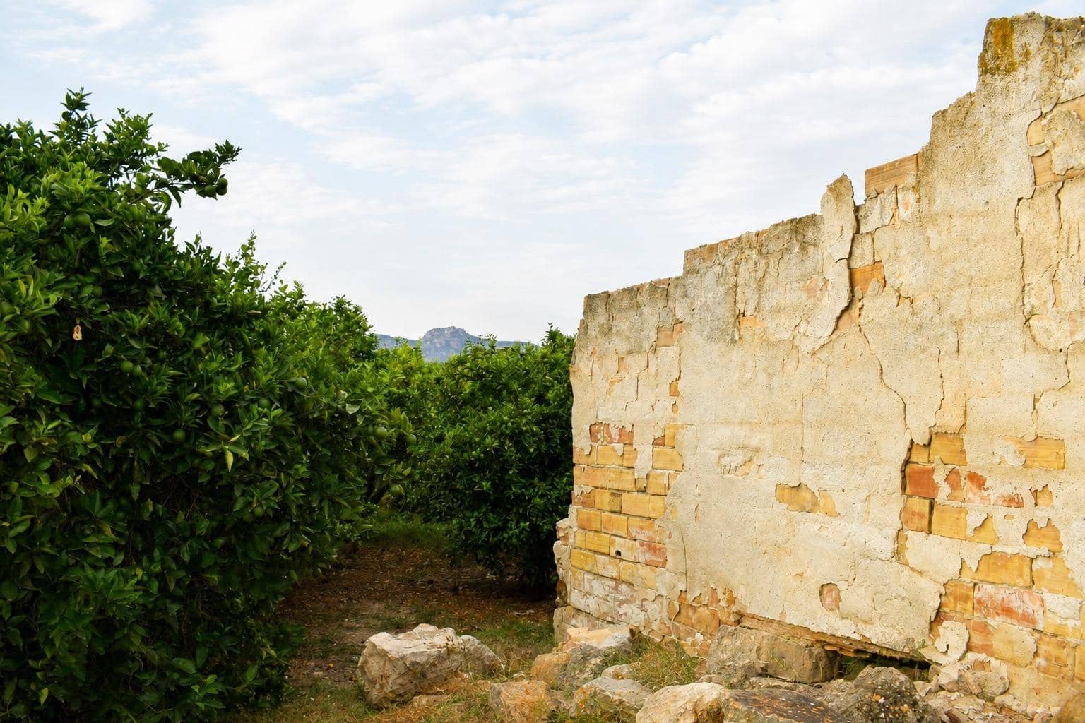 Undeveloped Land for sale in Llano de Brujas - € 99,000 (Ref: 10005663)
