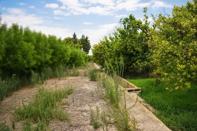 Undeveloped Land for sale in Llano de Brujas, Murcia city - € 99,000 (Ref: 10005663)