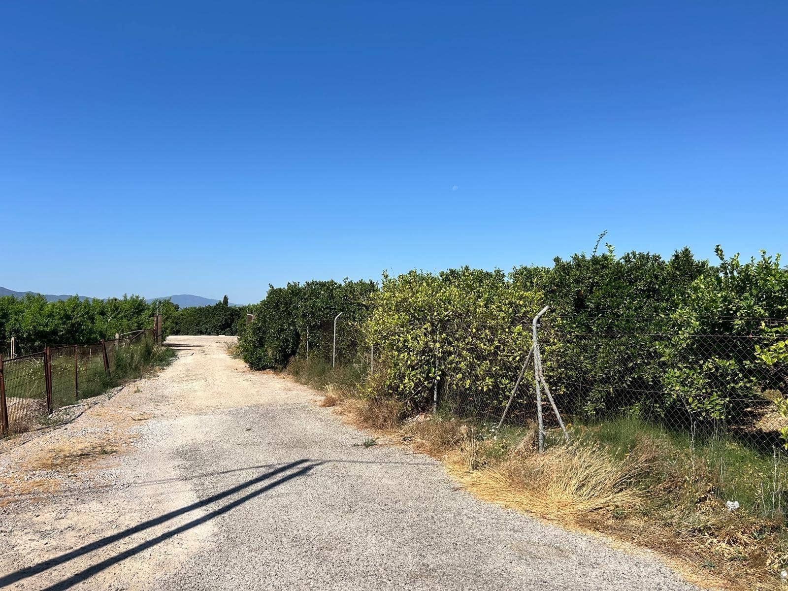 Undeveloped Land for sale in Murcia city - € 99,000 (Ref: 10041184)