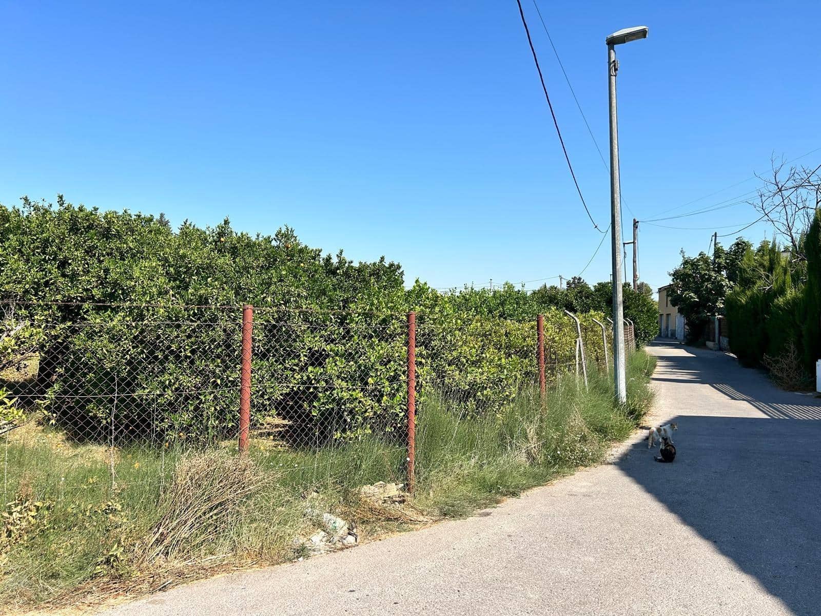 Undeveloped Land for sale in Murcia city - € 99,000 (Ref: 10041184)