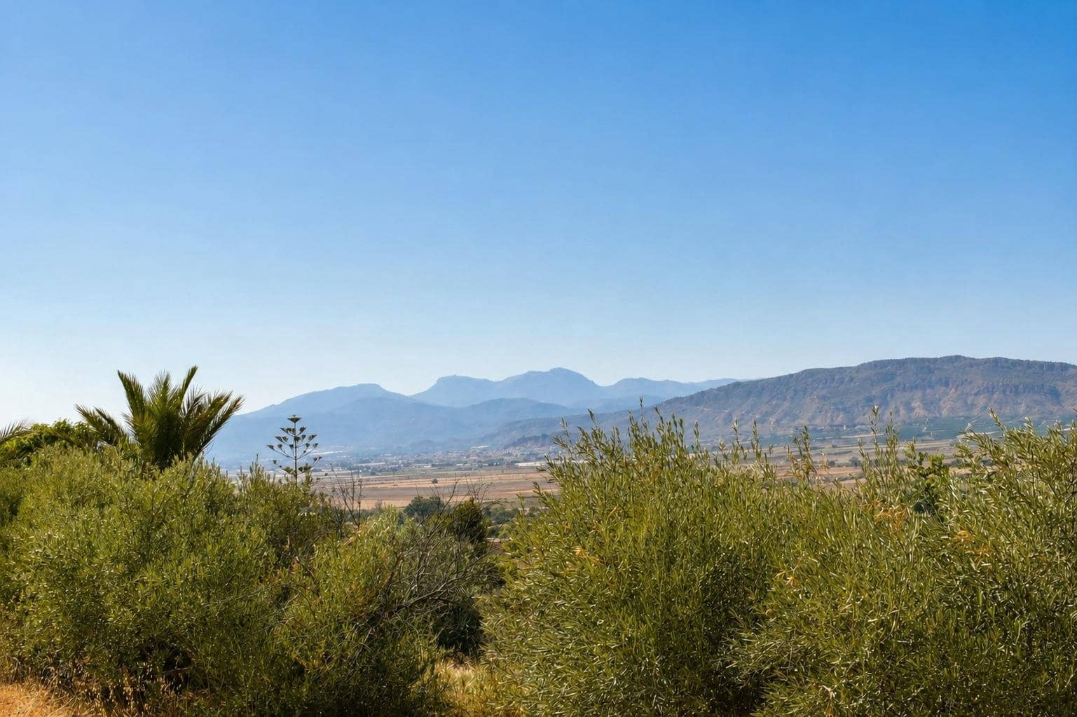 Undeveloped Land for sale in Alhama de Murcia - € 64,000 (Ref: 10077317)