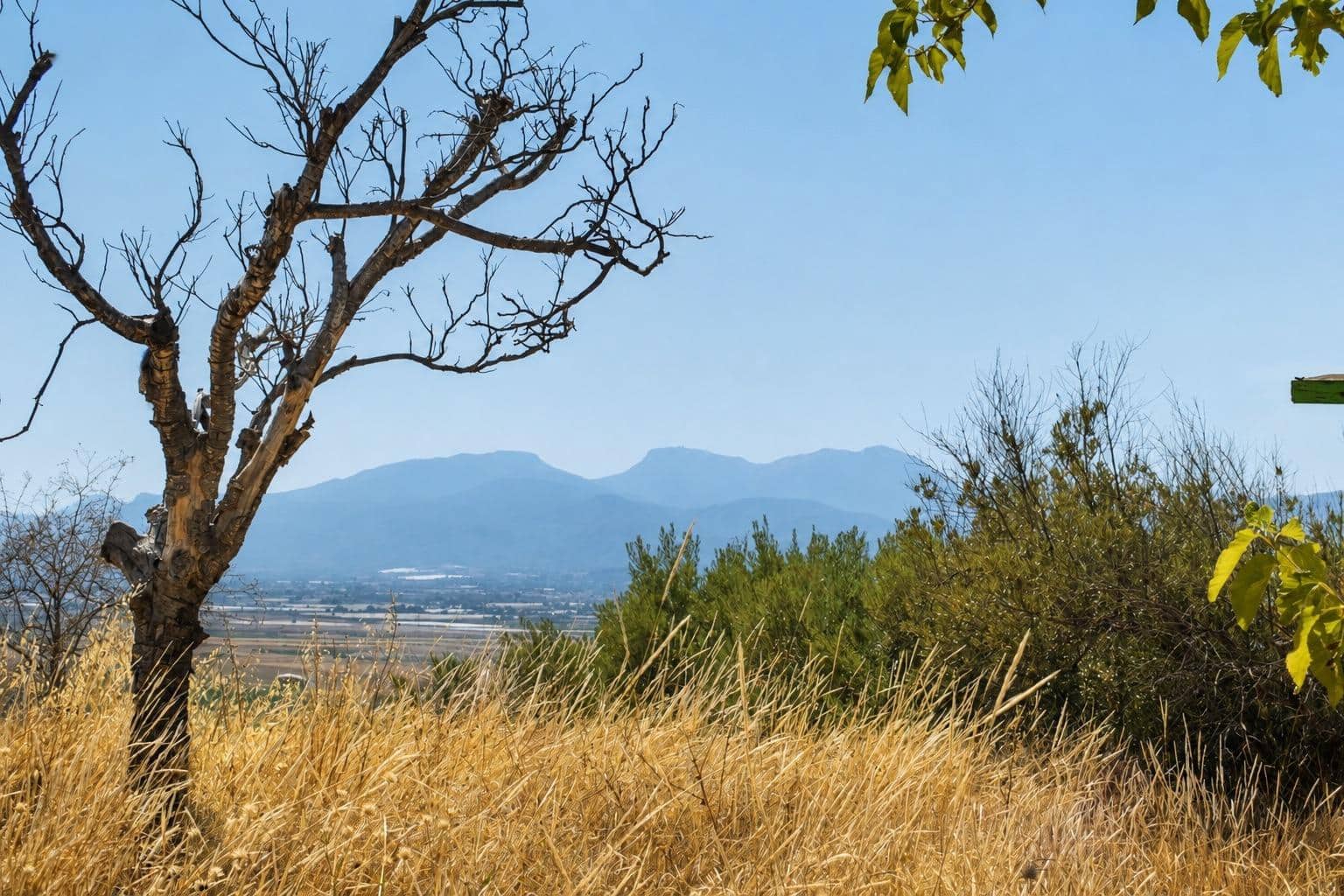 Undeveloped Land for sale in Alhama de Murcia - € 64,000 (Ref: 10077317)