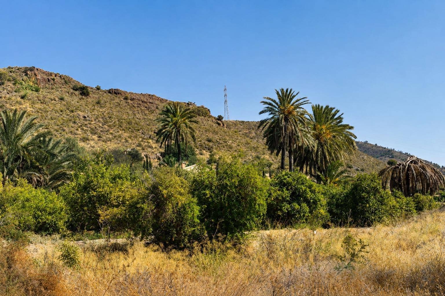 Undeveloped Land for sale in Alhama de Murcia - € 64,000 (Ref: 10077317)