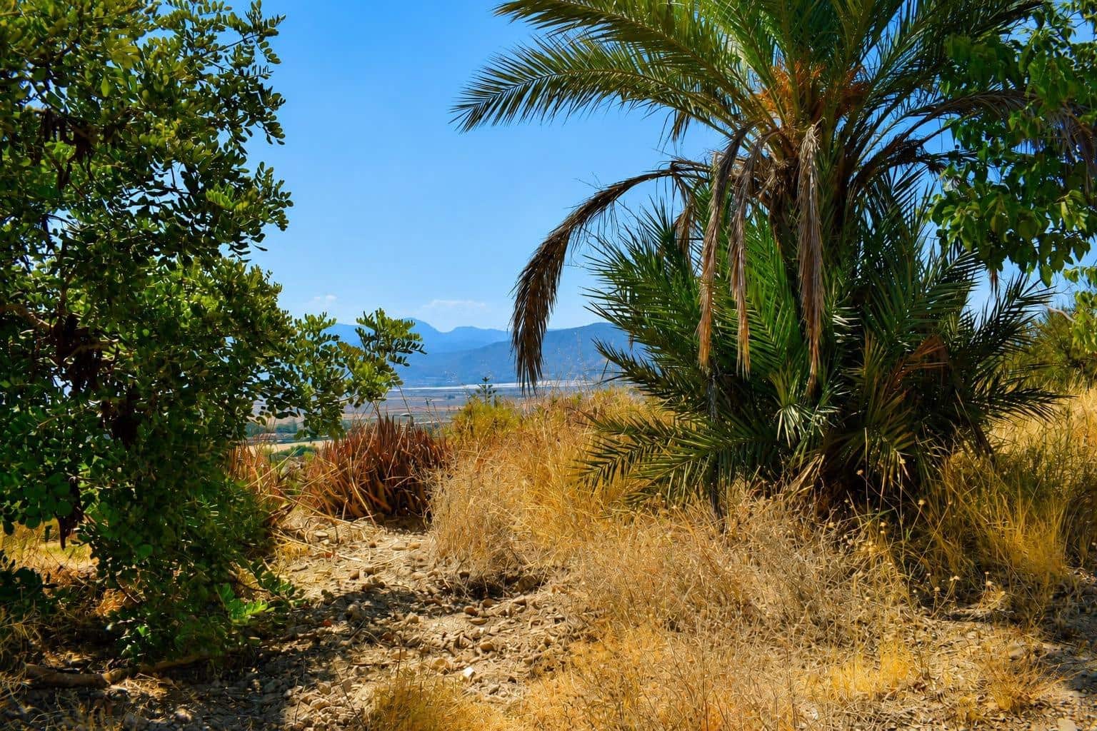 Undeveloped Land for sale in Alhama de Murcia - € 64,000 (Ref: 10077317)