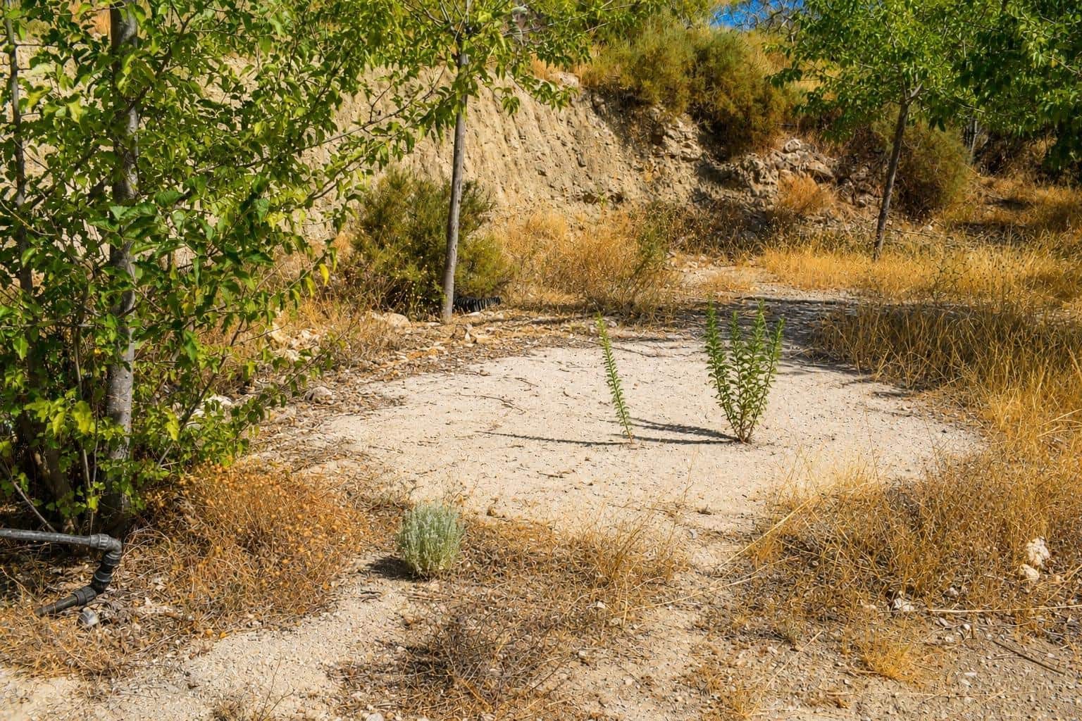 Undeveloped Land for sale in Alhama de Murcia - € 64,000 (Ref: 10077317)