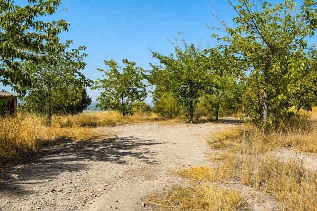 Grond te koop in Alhama de Murcia - € 64.000 (Ref: 10077317)