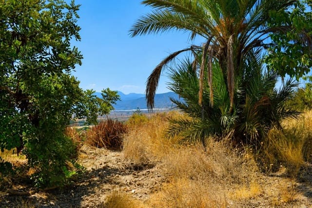 Grond te koop in Alhama de Murcia - € 64.000 (Ref: 10077317)