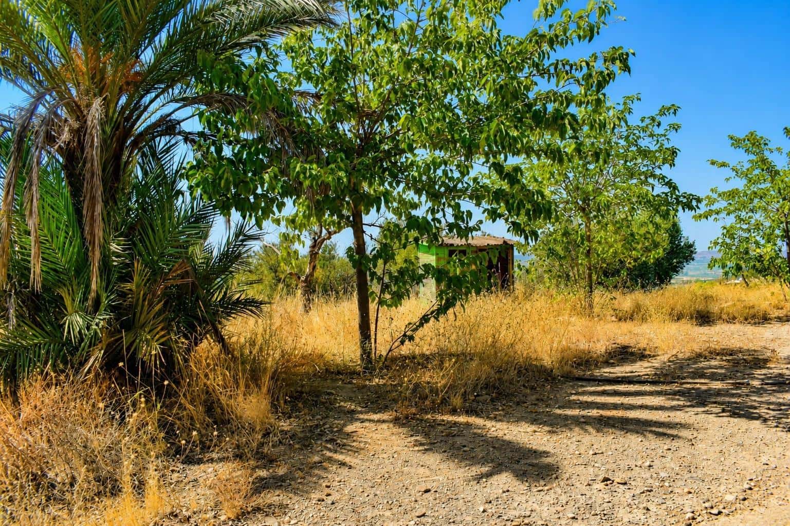 Undeveloped Land for sale in Alhama de Murcia - € 64,000 (Ref: 10077317)