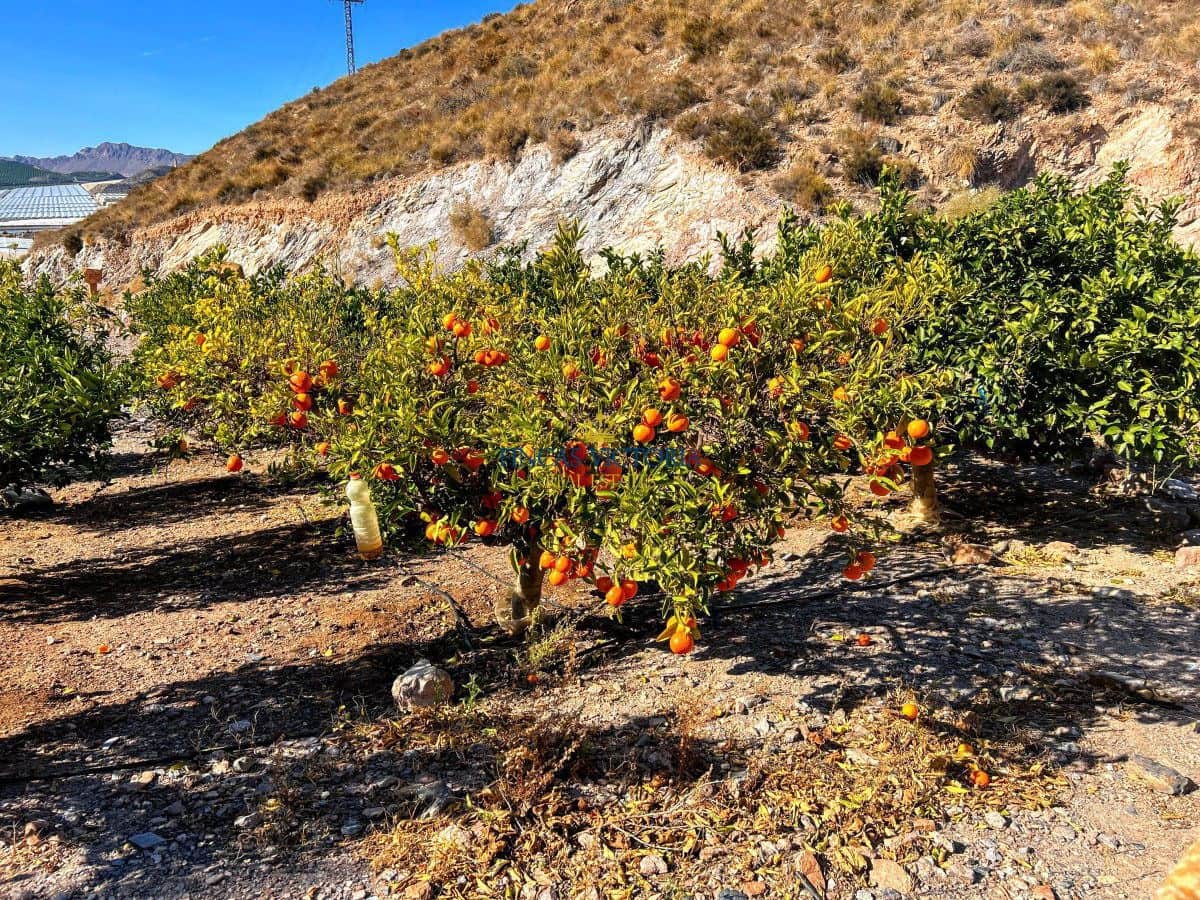 1 chambre Maison de Ville à vendre à Aguilas - 237 000 € (Ref: 8629931)