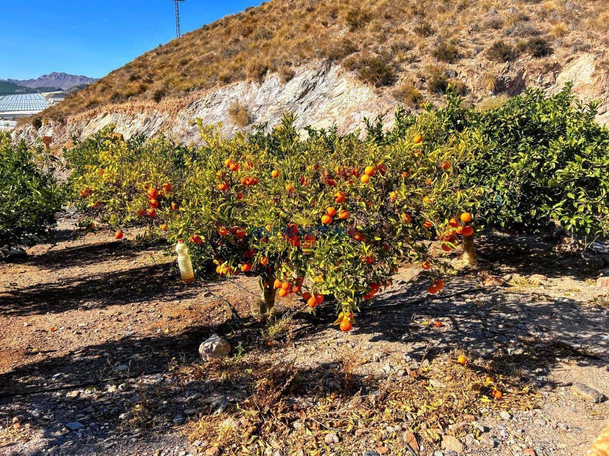 1 quarto Quinta/Casa Rural para venda em Aguilas - 237 000 € (Ref: 9456616)