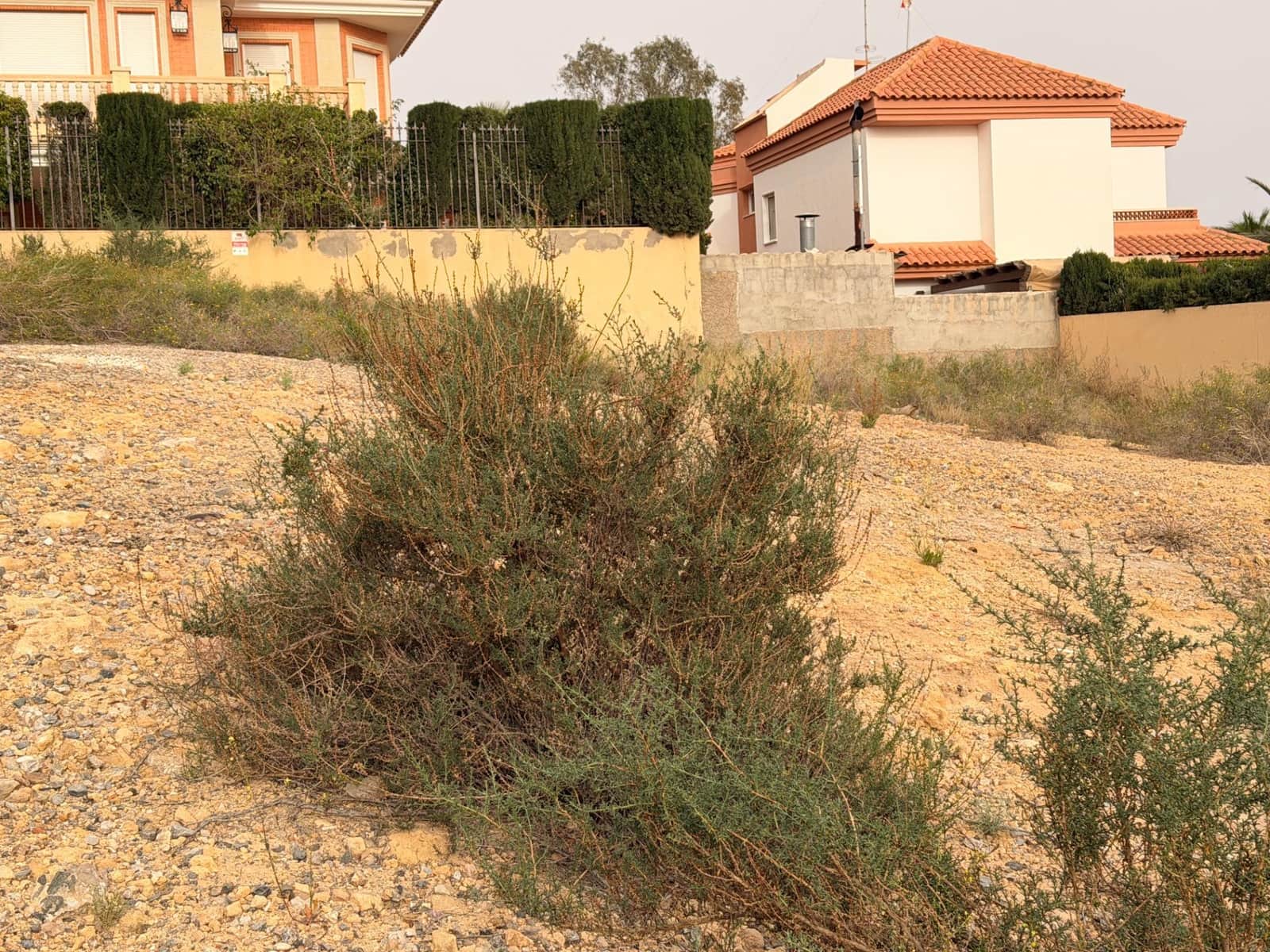 Bouwgrond te koop in Calarreona - € 119.500 (Ref: 9659458)