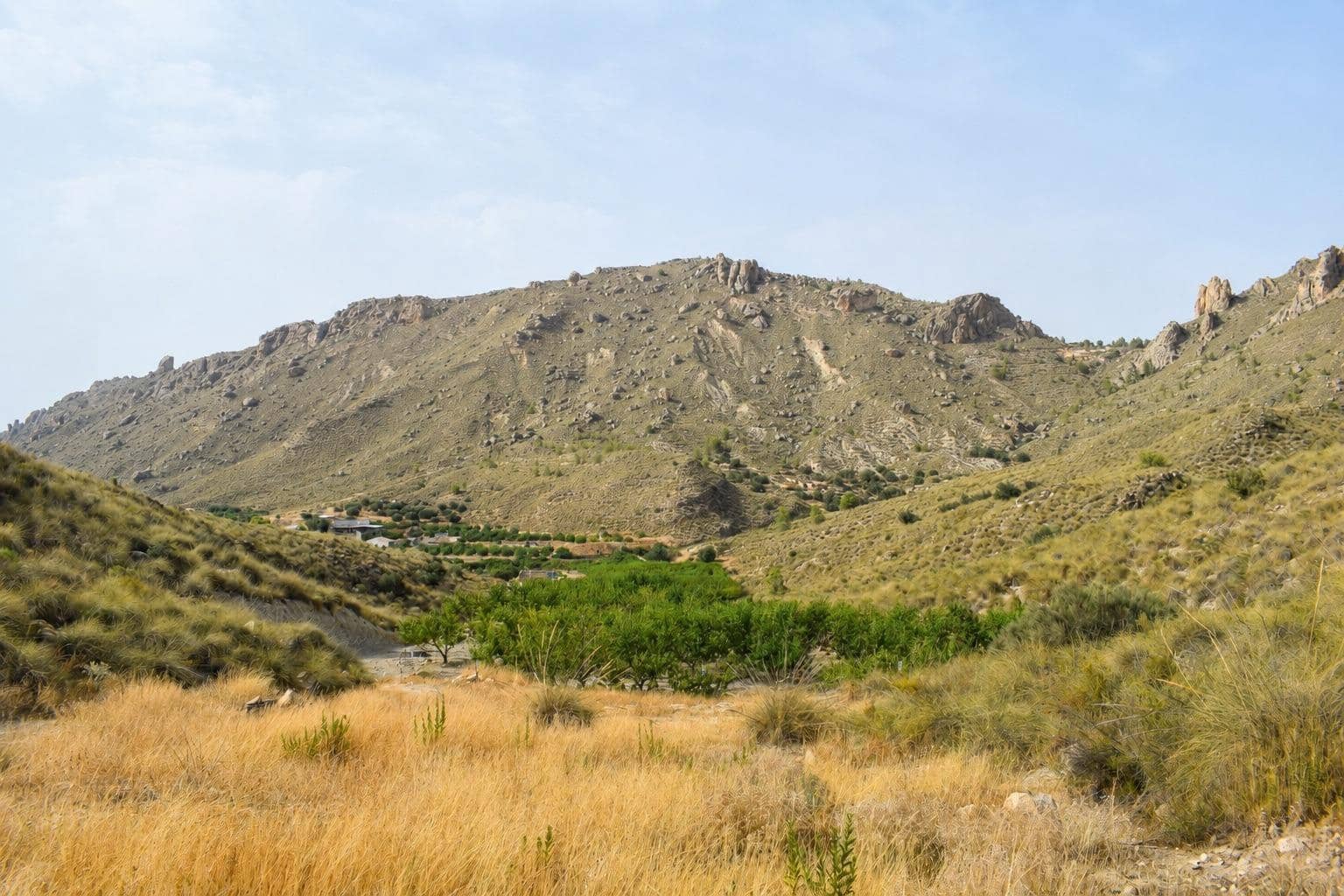 Ubebygd land til salgs i Blanca - € 98 000 (Ref: 9994270)